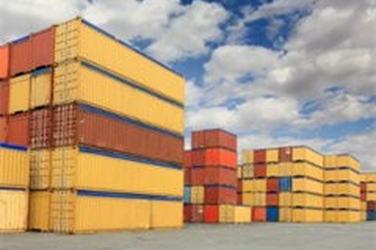 青岛海鲜空运 从港口到餐桌的空中快线，高效物流与报关一体化解决方案