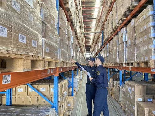 奉贤海关全力保障“双十一”首波跨境商品高效通关